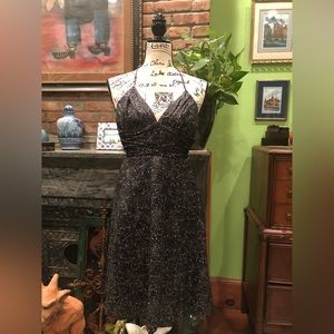 NWT EXPRESS The Ultimate NYE Silk Cocktail Dress New with Tags